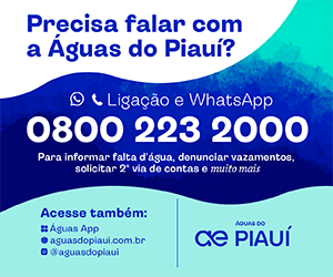 Aguas 300